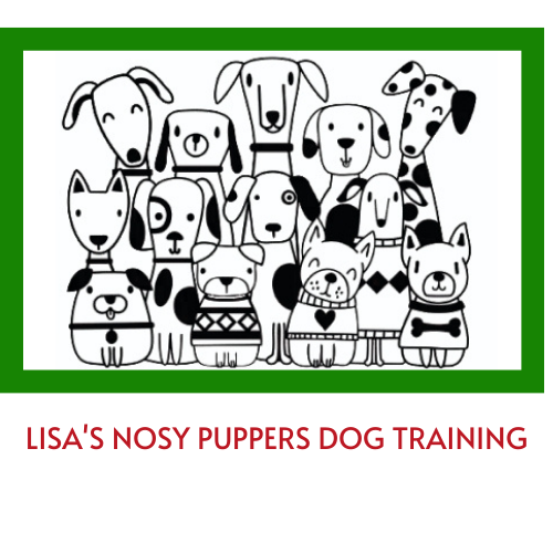 Lisa's Nosy Puppers Dog Training