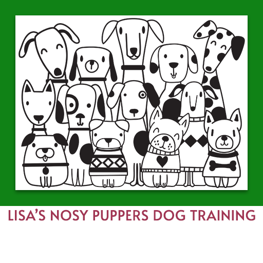 Lisa's Nosy Puppers Dog Training